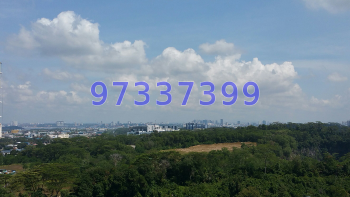 Blk 630 Senja Road (Bukit Panjang), HDB 4 Rooms #44312352